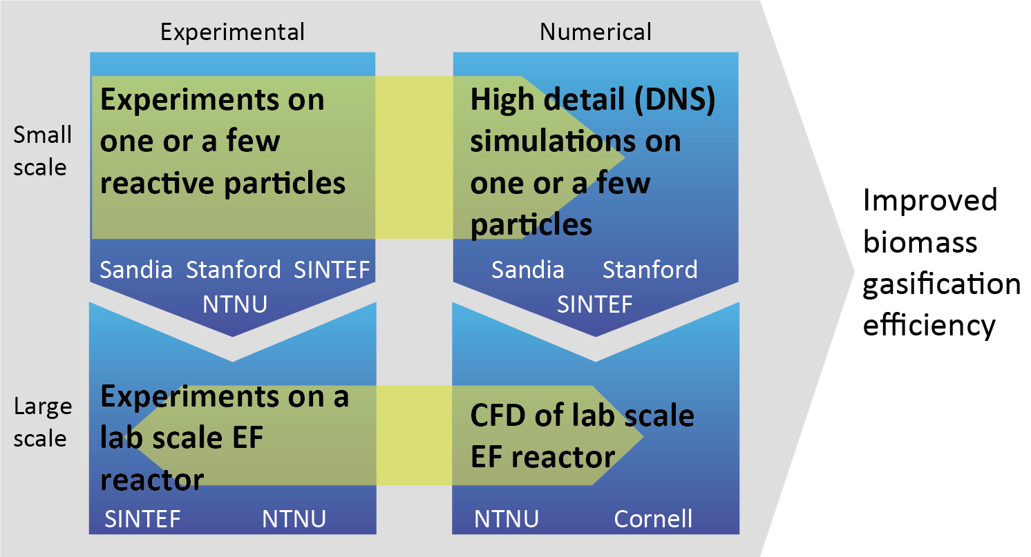 organisation model