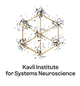 The Kavli Institute for Systems Neuroscience. Logo