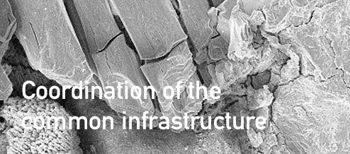 Coordination of the infrastructure