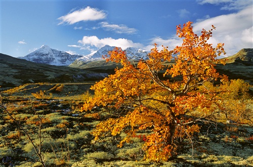 På fjellet. Foto: Anders Gjengedal - Visitnorway.com