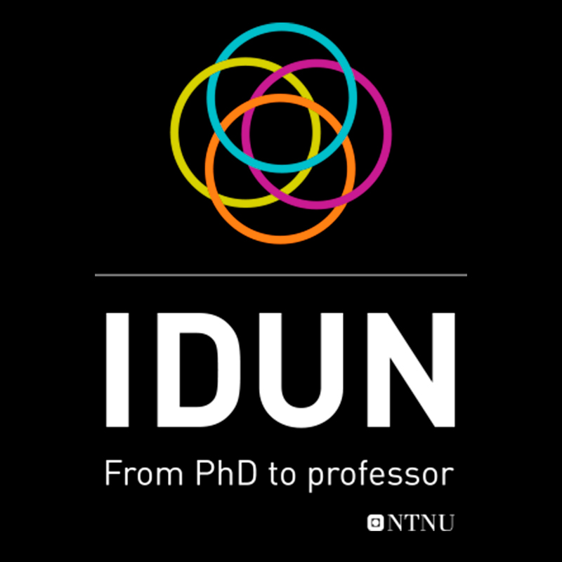 IDUN - From PhD to professor - NTNU