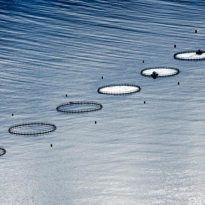 Fish cages for salmon farming along the norwegian coast. Photo