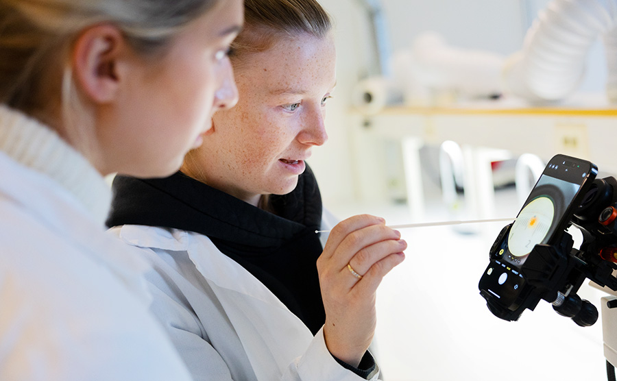 Two students in the lab checking the length of a salmon egg in a microscope