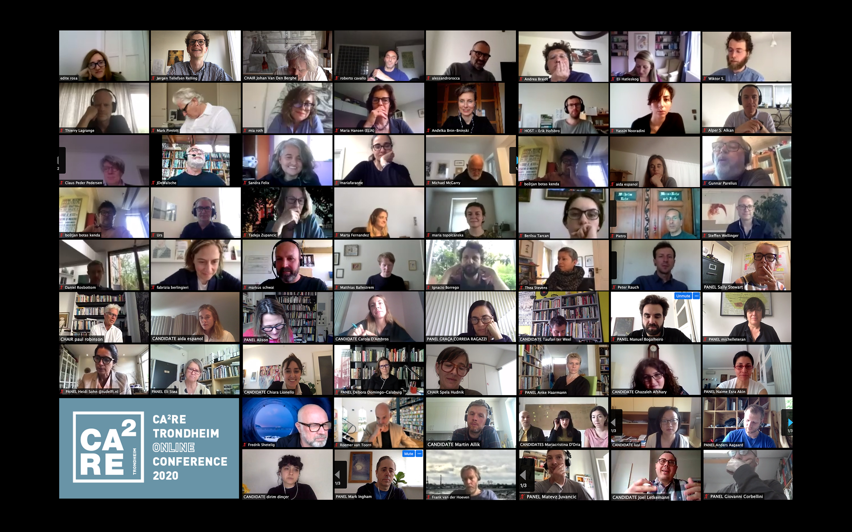 Screenshot from digital conference