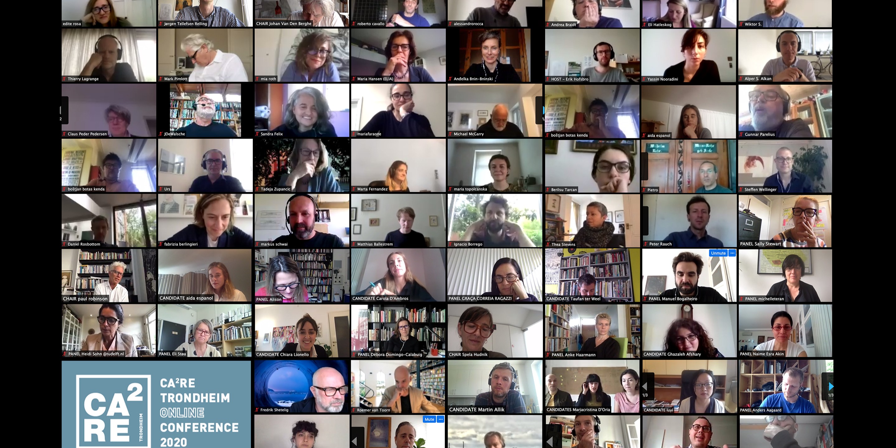 Screenshot of digital conference in 2020