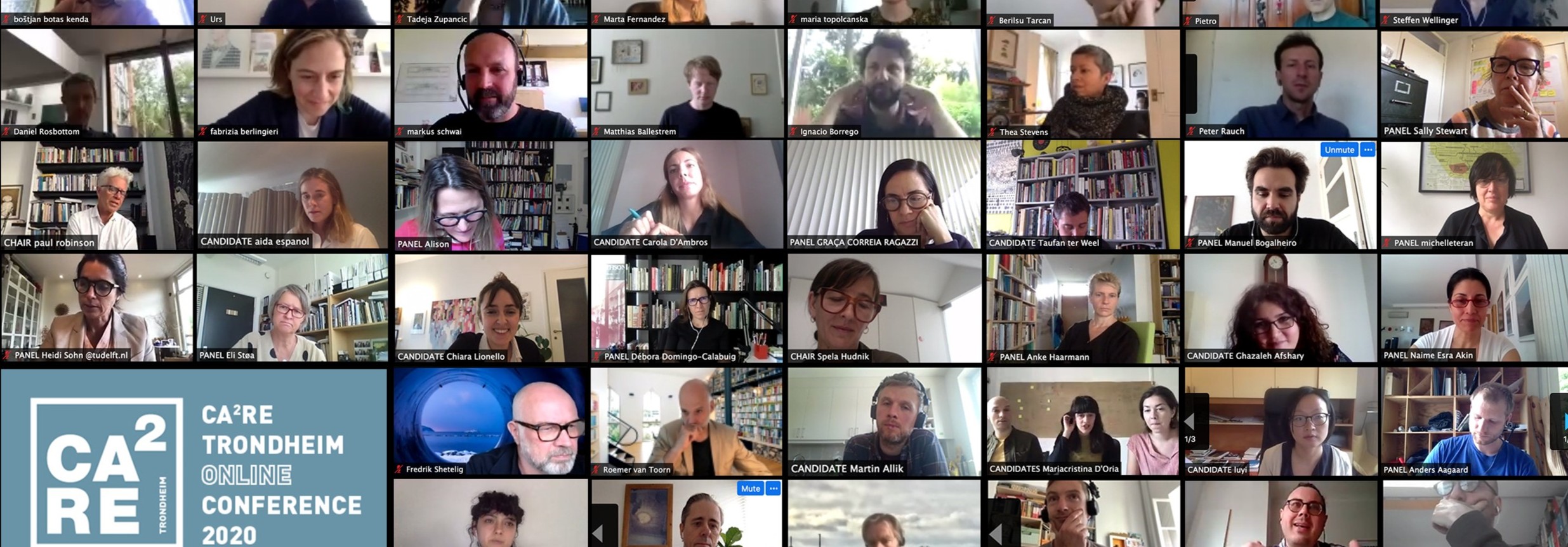 Screenshot from digital conference.