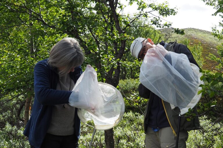 Elisabeth Stur and Torbjørn Ekrem_photo Thomas Stur Ekrem.jpg