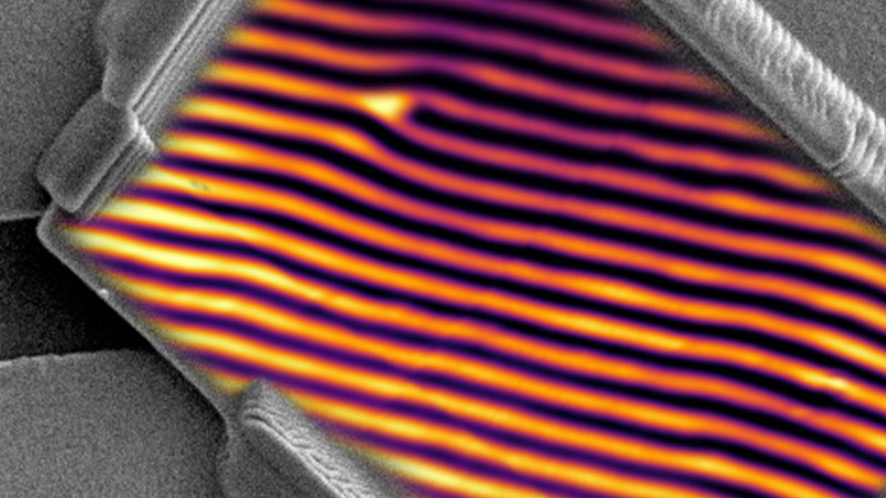 topological structure through a microscope
