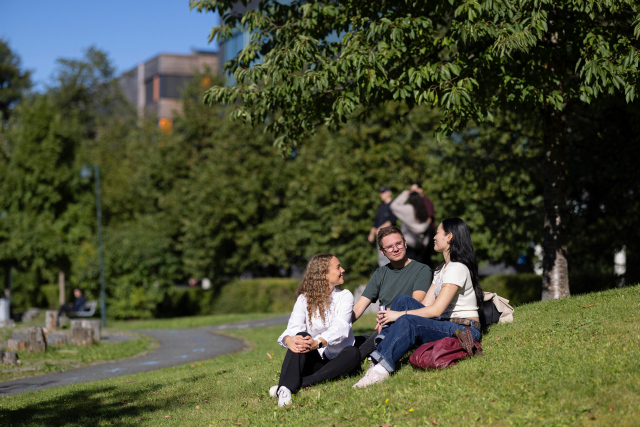 Three students sitting in the grass at a park. 