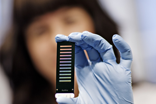 Researcher holds out a DNA chip. Photo: Geir Mogen/NTNU