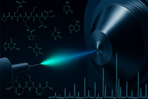 Illustration of mass spectrometry-based analysis of proteins, DNA, and RNA.