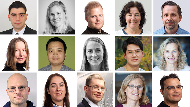 15 employees in a collage