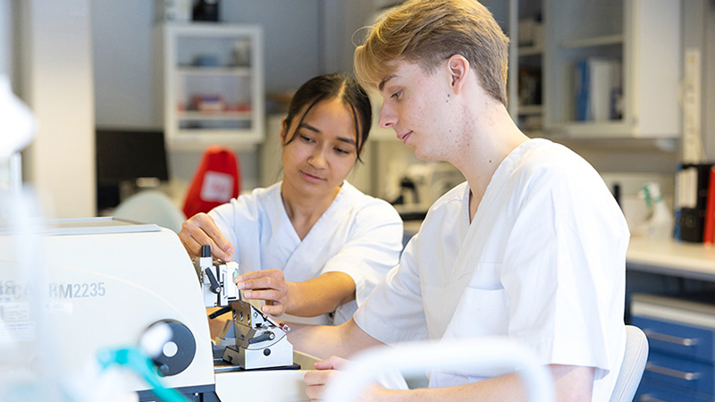 Two students working together in a laboratory
