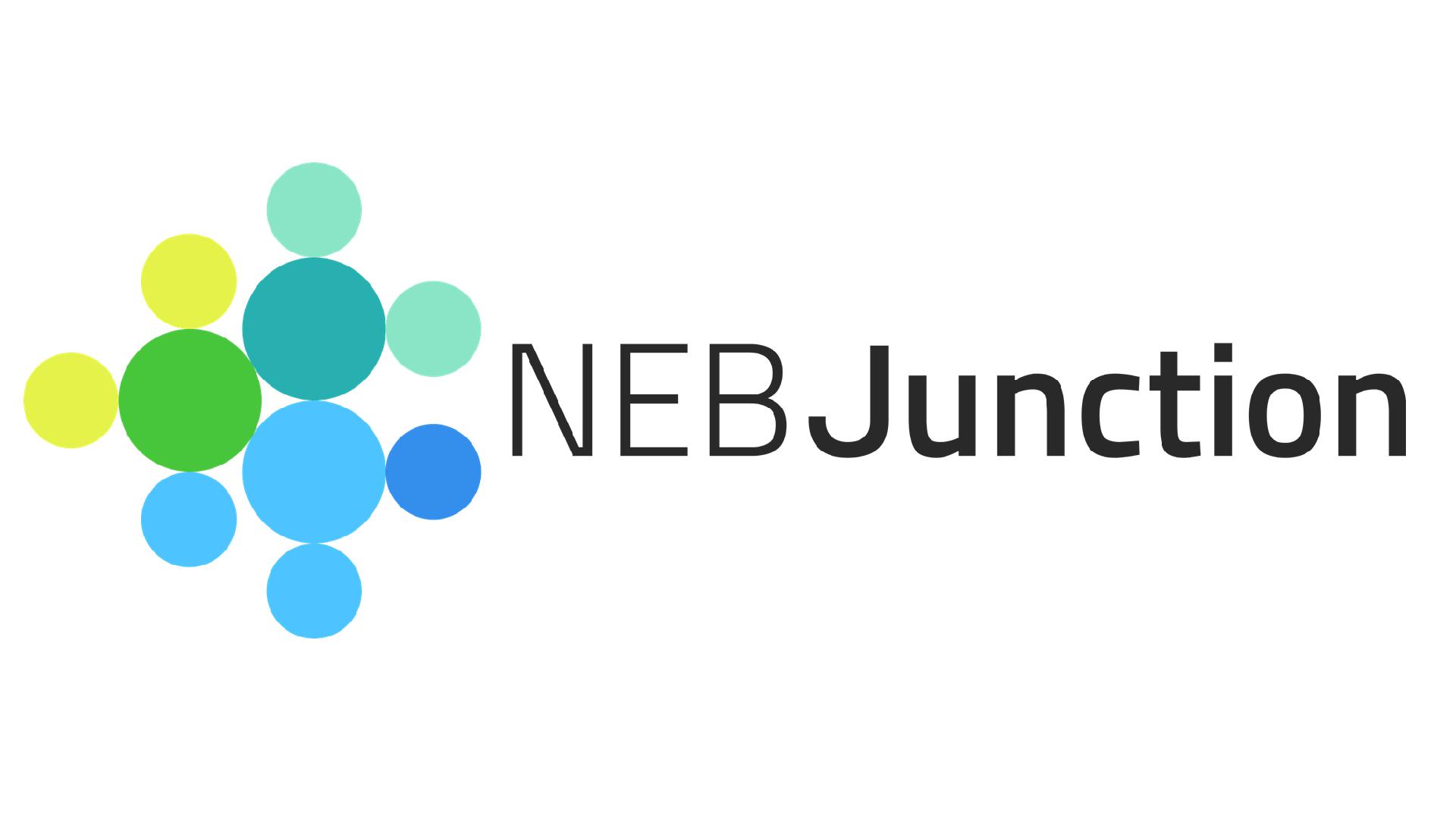 Logo NEB Junction