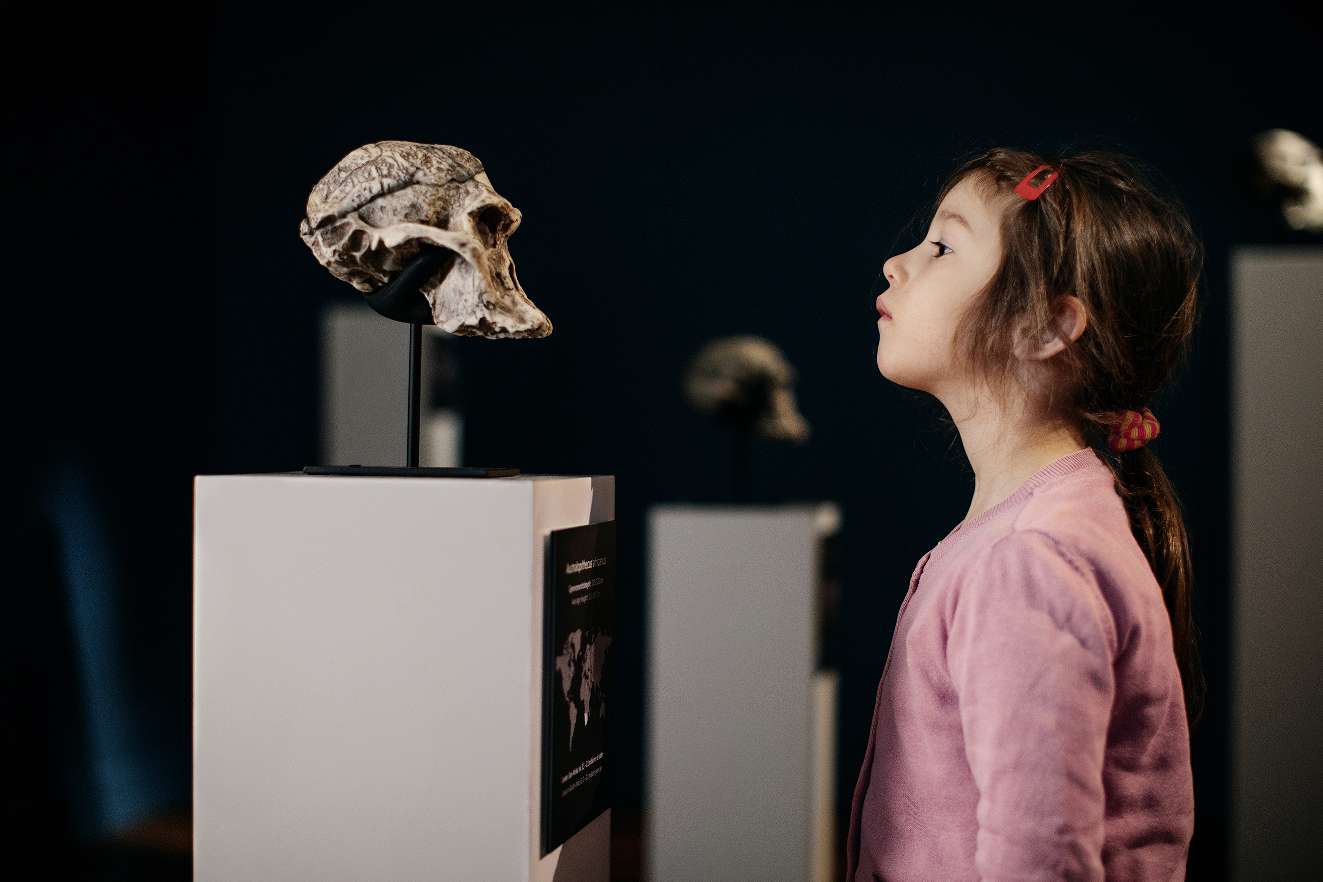 Young girl is standing face to face with the skull of a Prehistoric human. 