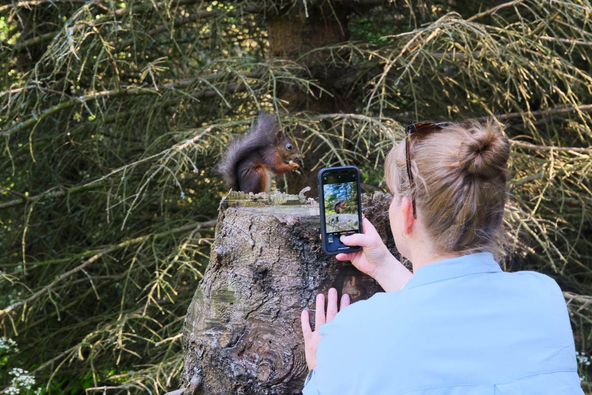 Woman photographing a squirrel