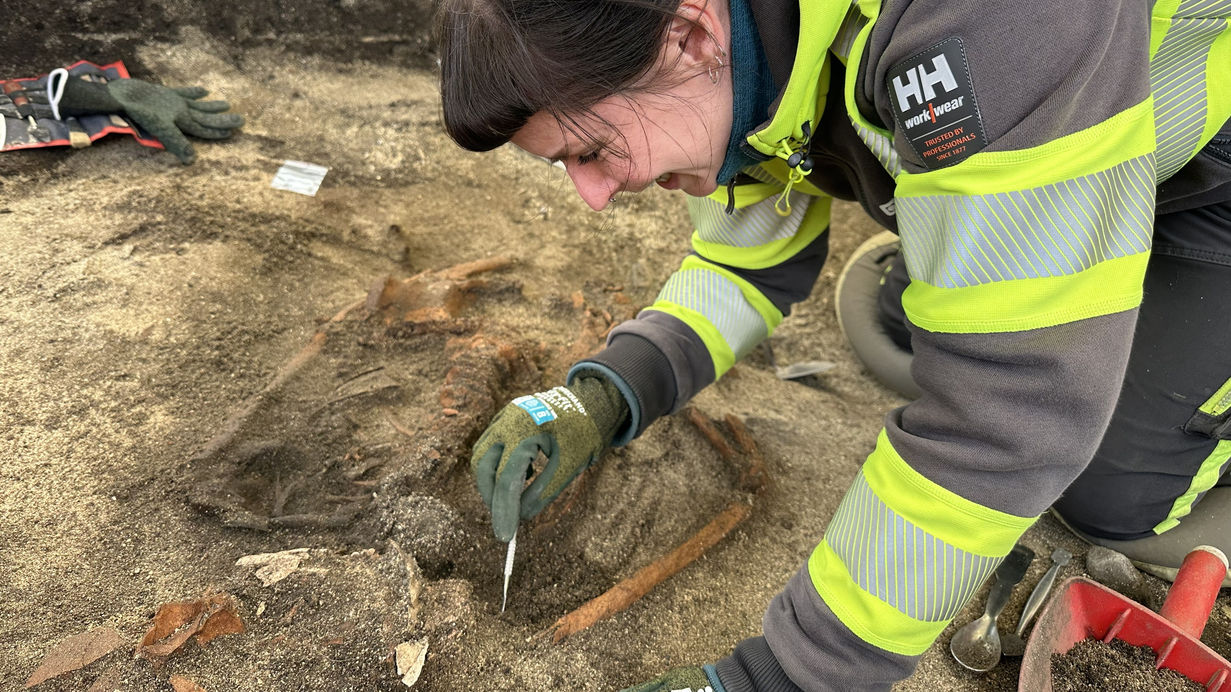 Read the Strategy for the Department of Archaeology and Cultural History 2026–2035