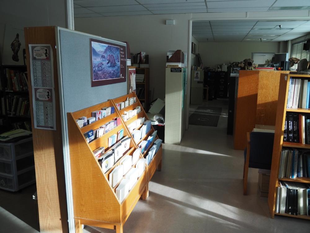 Archive/ library. Photo