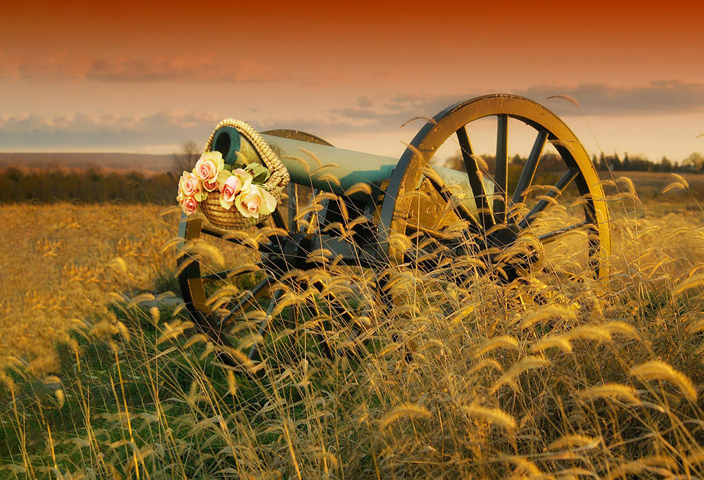 An old canon in a grain field. A flower basket on top of the canon. Photo