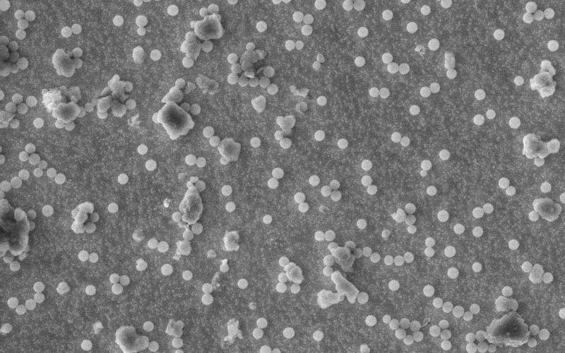 Electron microscope image showing magnetic nanoparticles