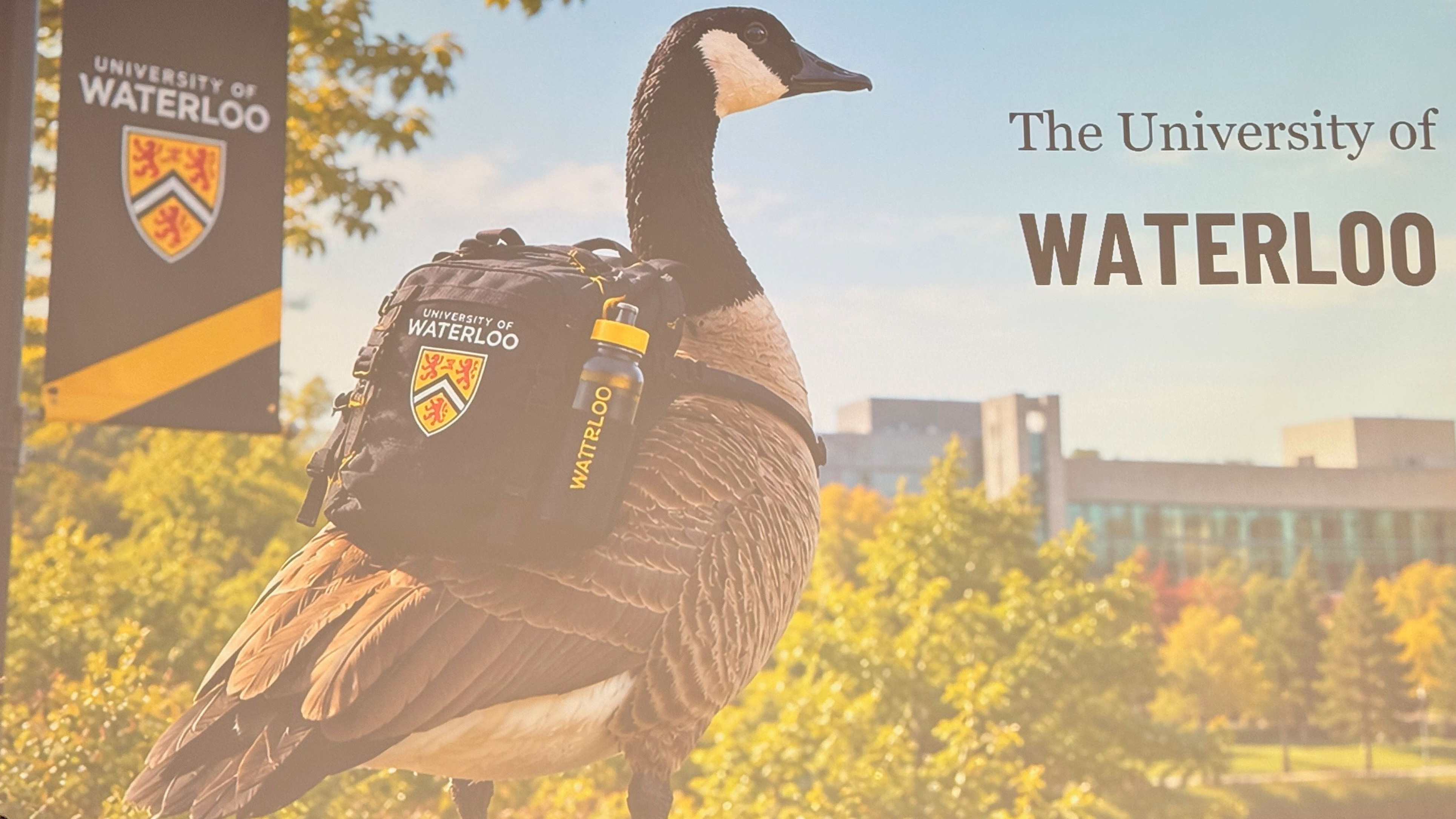 Picture of a presentation slide with University of Waterloo and a goose wearing a backpack