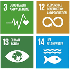 SDG icons. 3: Good health and well being, 12: Responsible consumption and production, 13: Climate action, 14: Life below water