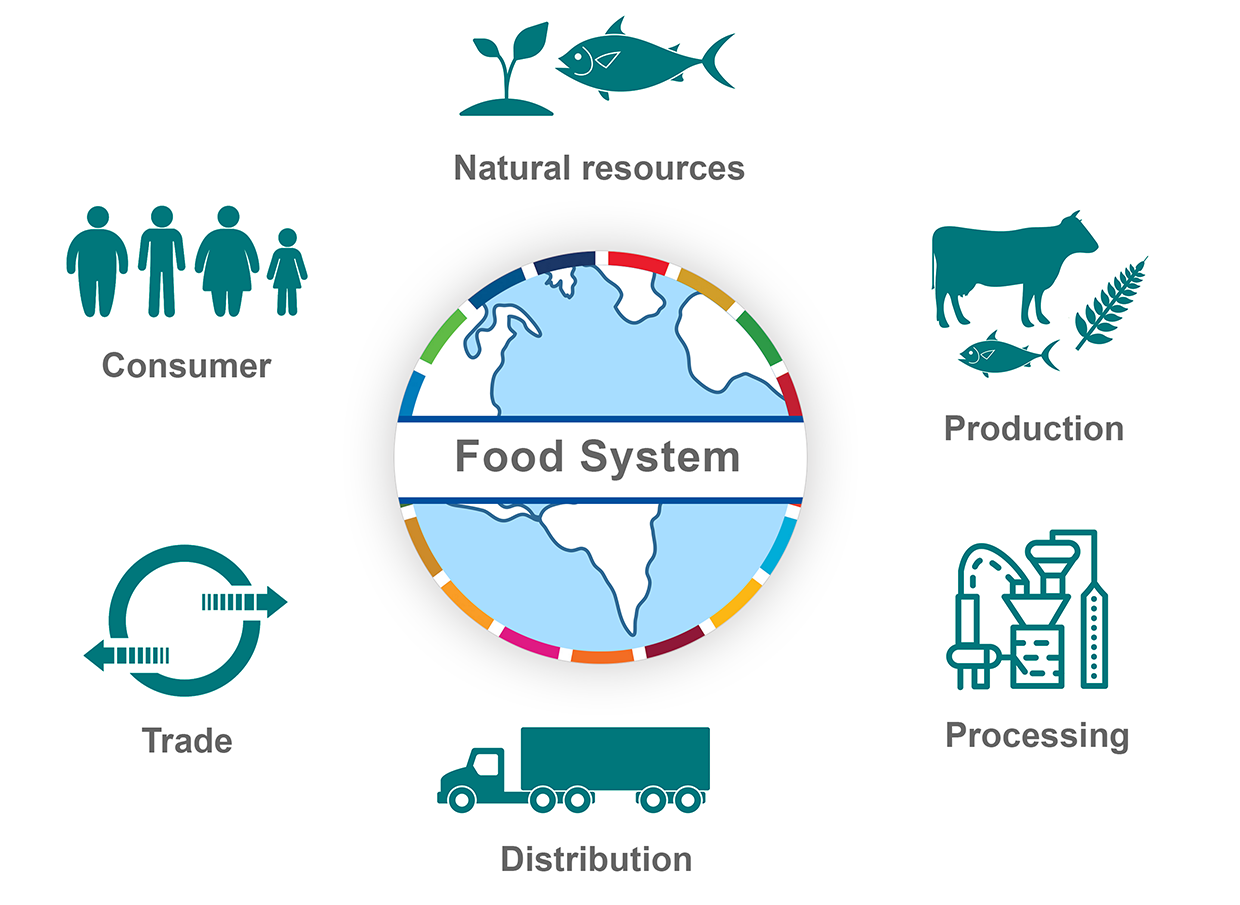Food system illustration