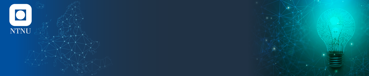 NTNU Home