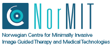 Logo of NorMIT