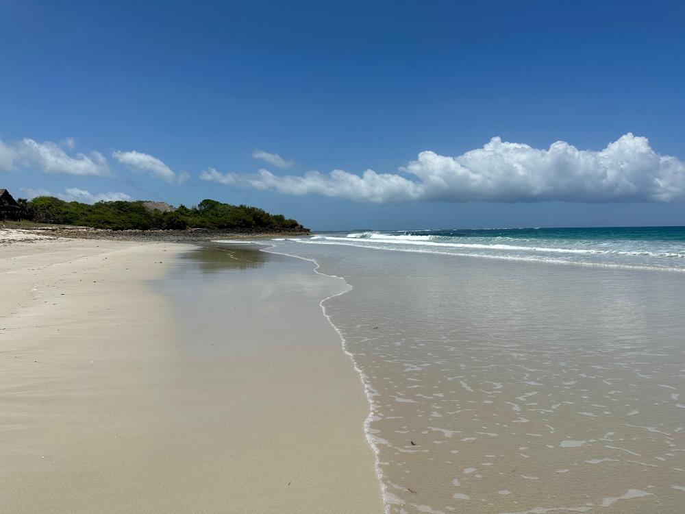 a clear beach in tanzania