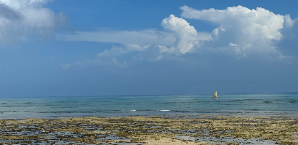 boat on the sea in Tanzania