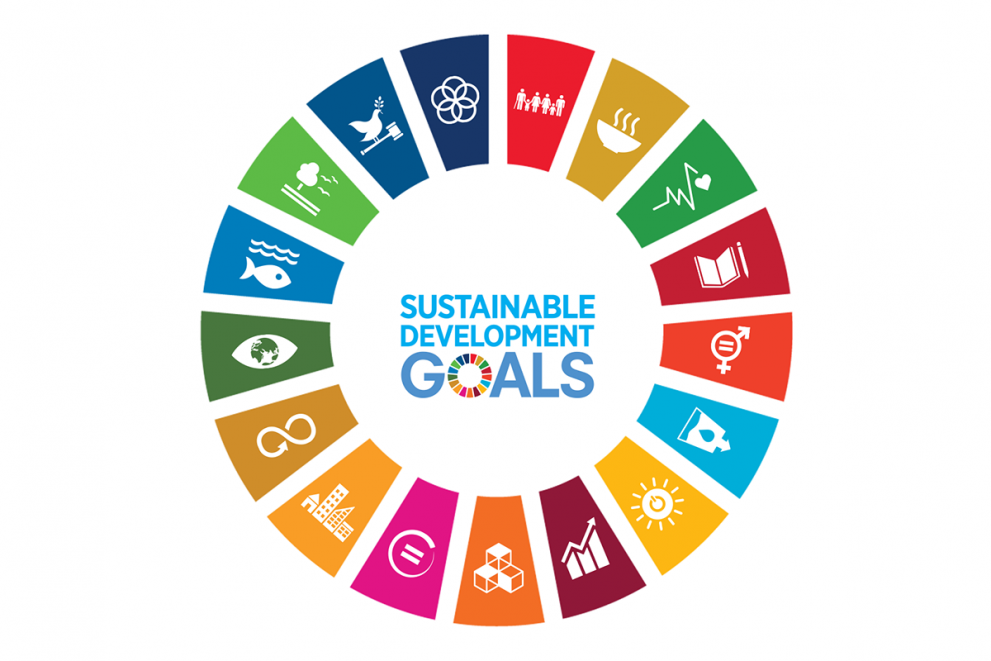SDG logo with all of the goals displayed in a circle