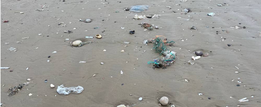 image of polluted sand