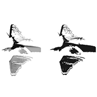 {SHREC’13} Track: Large-Scale Partial Shape Retrieval Using Simulated Range Images