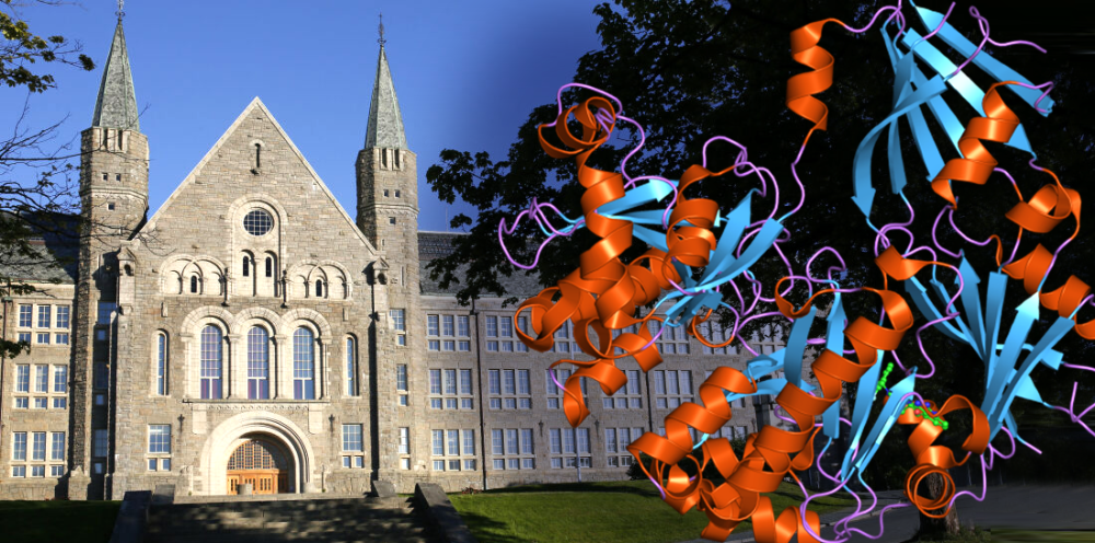 Collage with a building and chemical strands