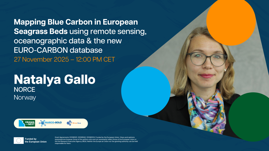 Promotional banner for the webinar. Information repeats the text on this page