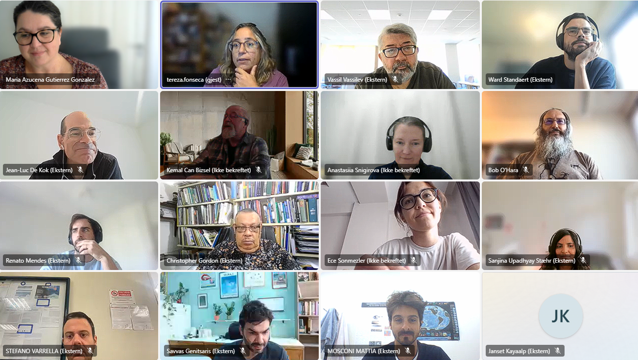 Screen capture from one of the digital pre-meeting sessions