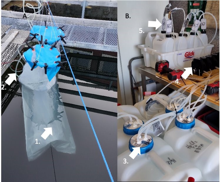 eDNA sampling and processing equipment in the lab