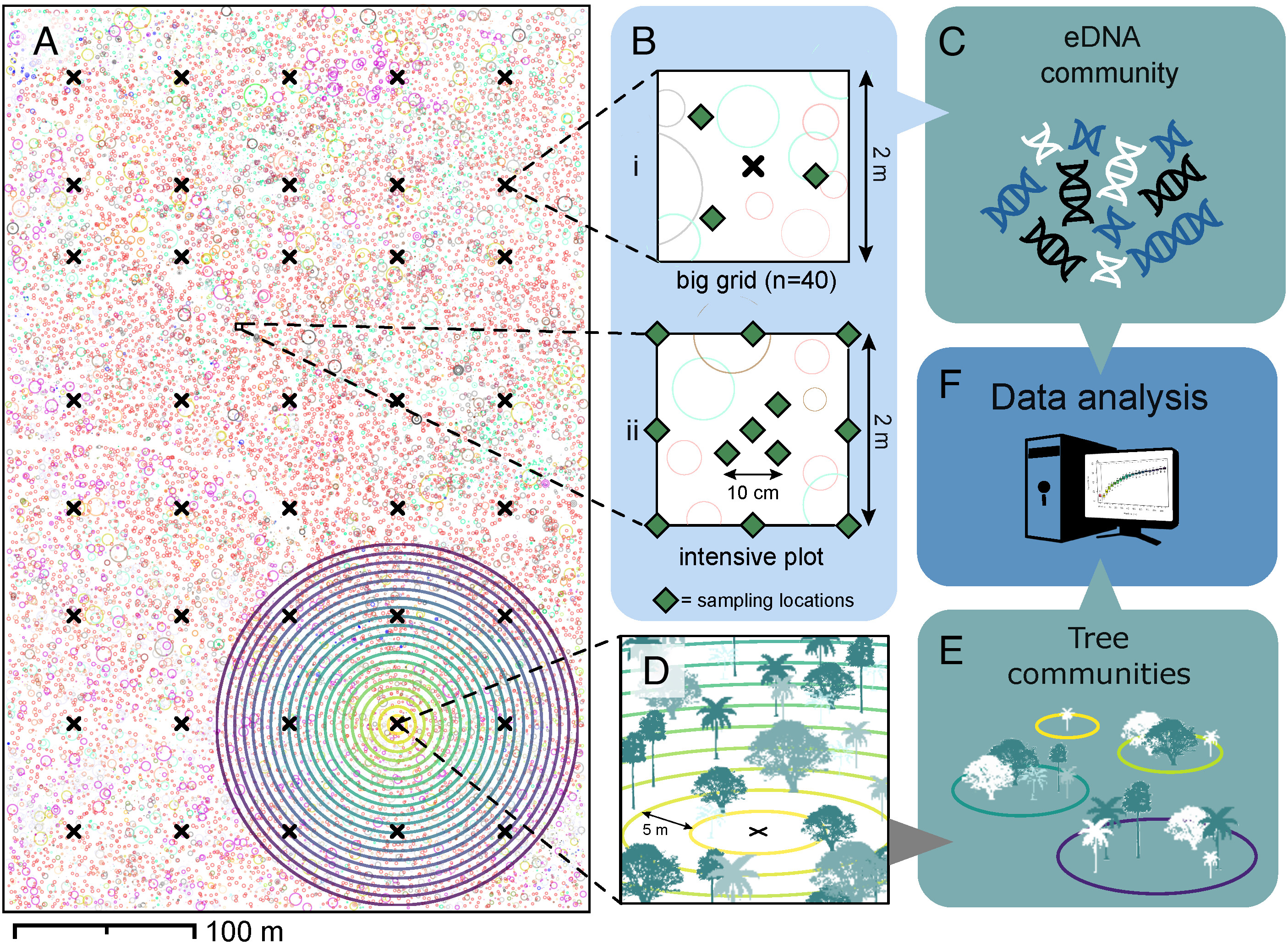 Figure 1 from the linked publication. For figure caption, follow link to the publication