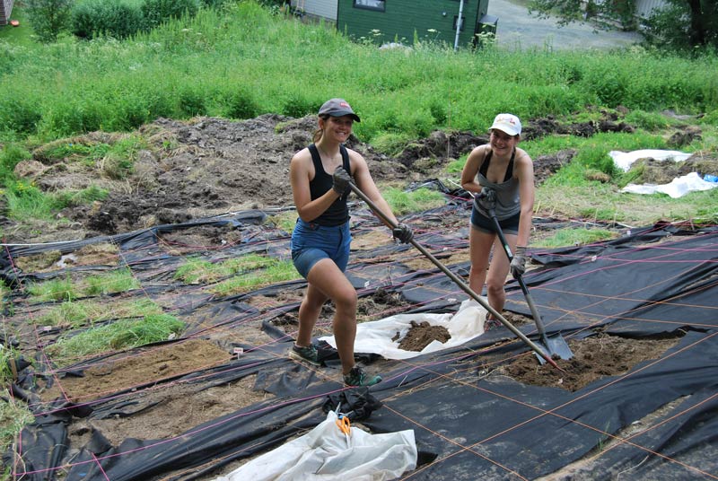MOVINNG SOILS: Martine moved 4 tons of soil from a road construction site in Trøndelag into the park.