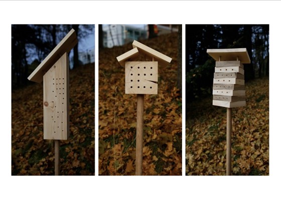 HOMELY: The insect hotels were made and put up by Guro Reinaas og Maren Hessen last year, ready to take on inhabitants.
