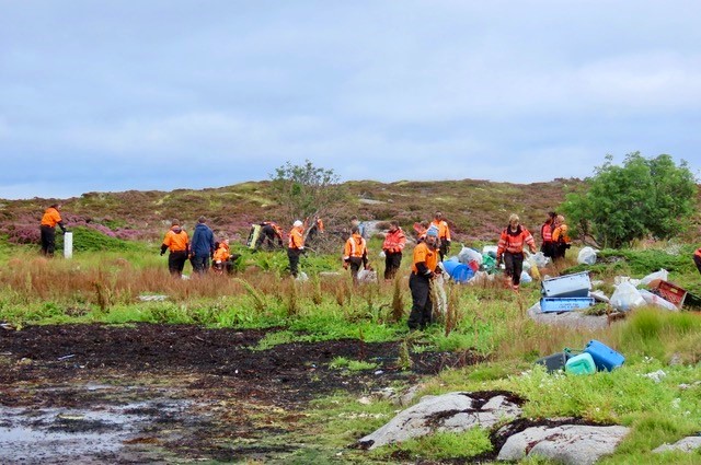 People looking for trash on the shore. Photo