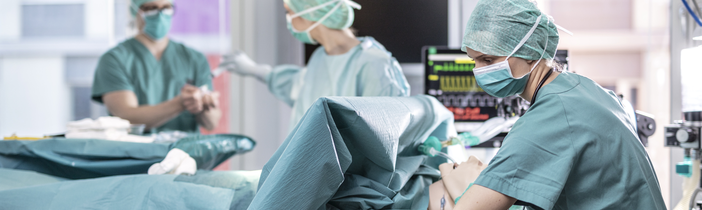 Health preparedness simulation with healthcare professionals