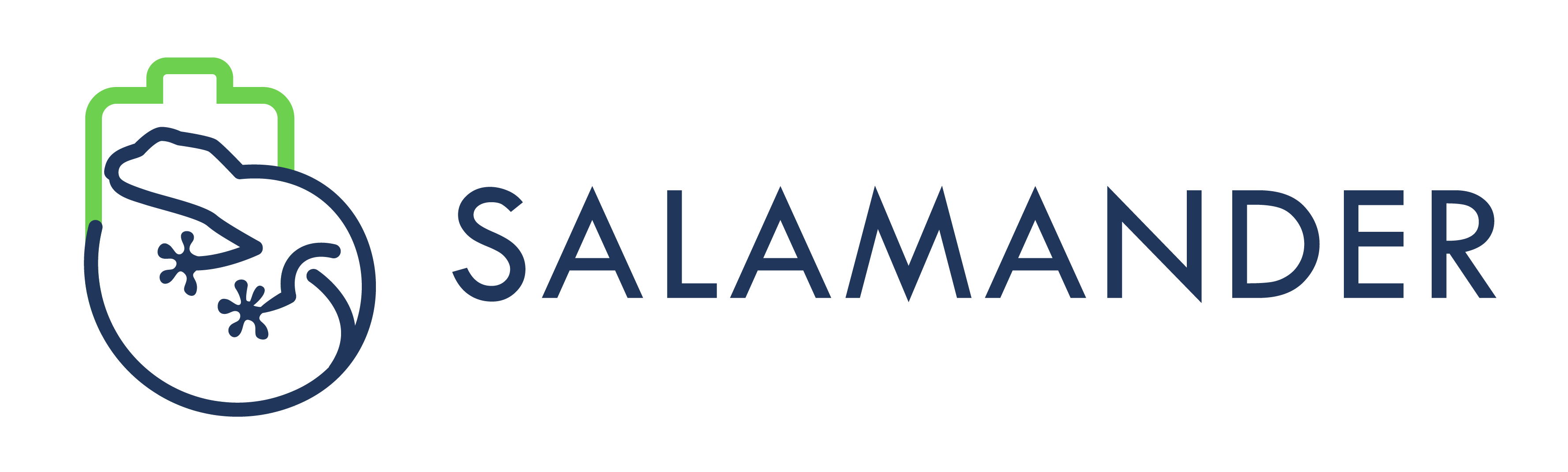 Salamander logo