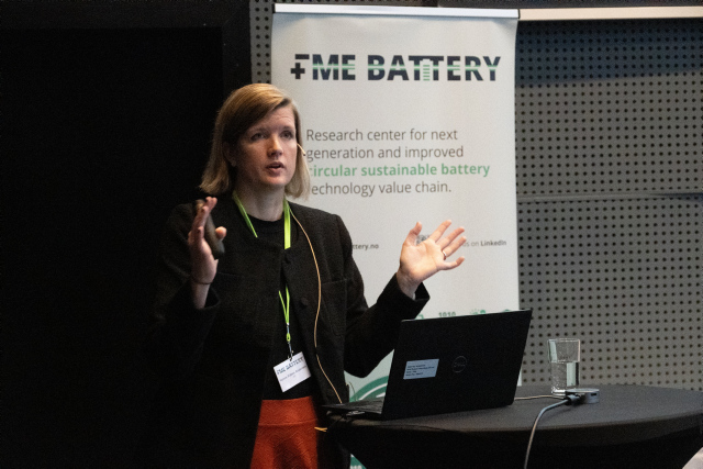 person giving a presentation. photo