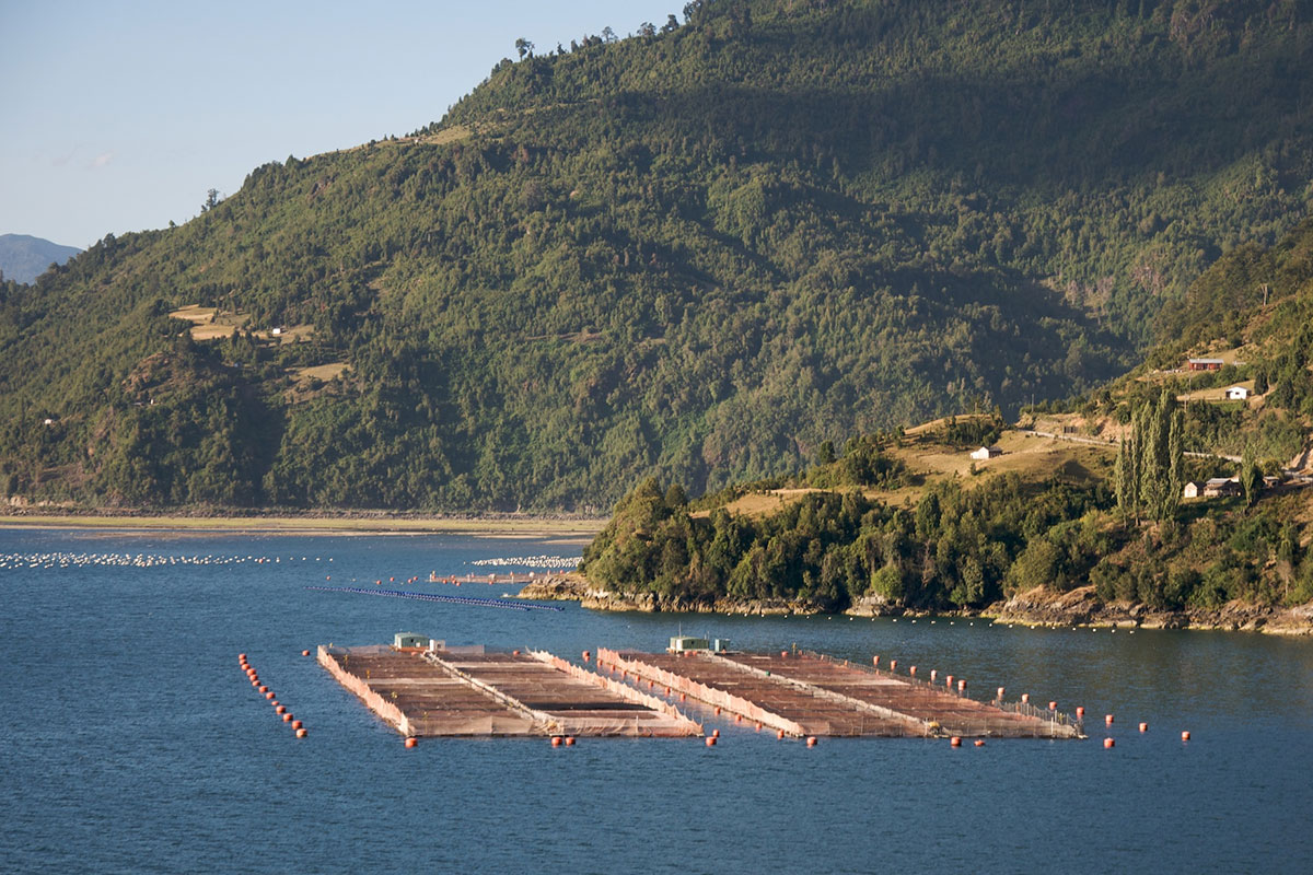 A salmon farm illustrating an artistic PhD project on the environmental and social implications of salmon farming. Photo