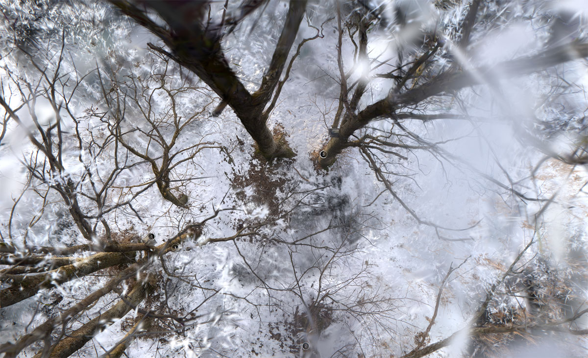 A bird's-eye view of a larch forest in winter, visualised using Gaussian splatting. Photo: Oskar Johanson.
