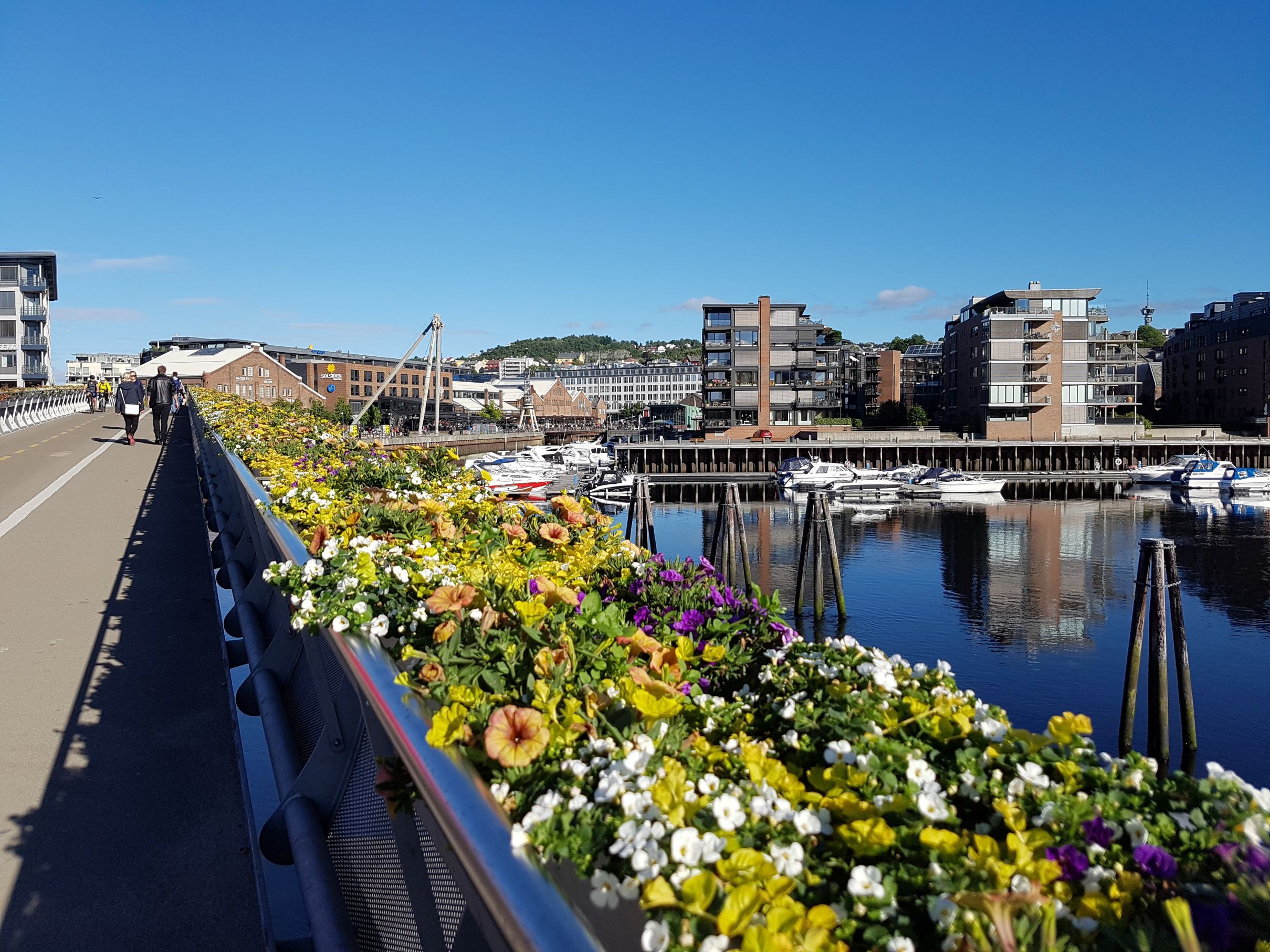A bridge with flowers