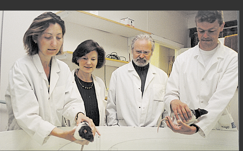 1998: NTNU makes a commitment to brain research
