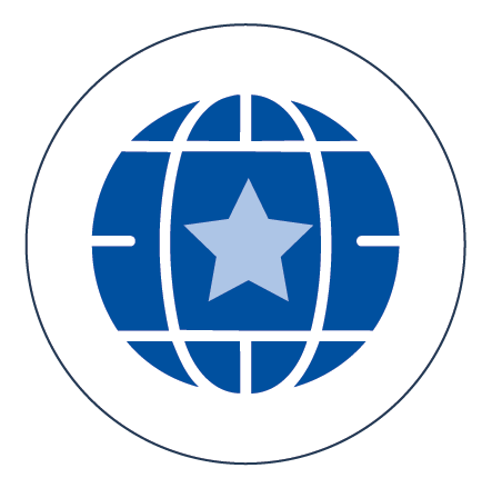 Star in circle. Icon